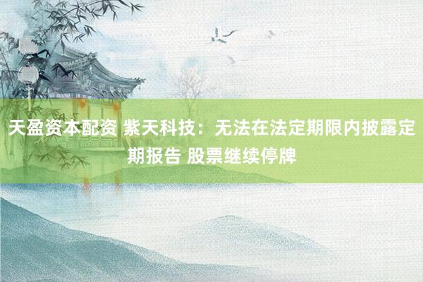 天盈资本配资 紫天科技：无法在法定期限内披露定期报告 股票继续停牌
