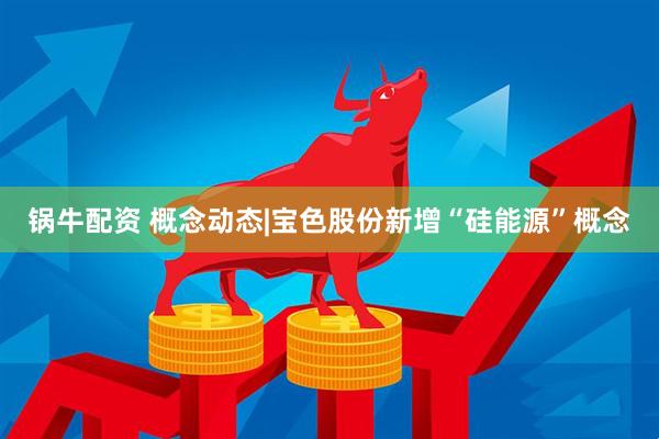 锅牛配资 概念动态|宝色股份新增“硅能源”概念