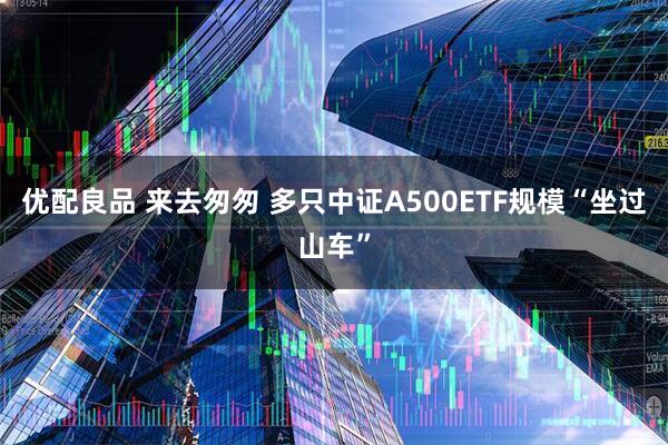 优配良品 来去匆匆 多只中证A500ETF规模“坐过山车”
