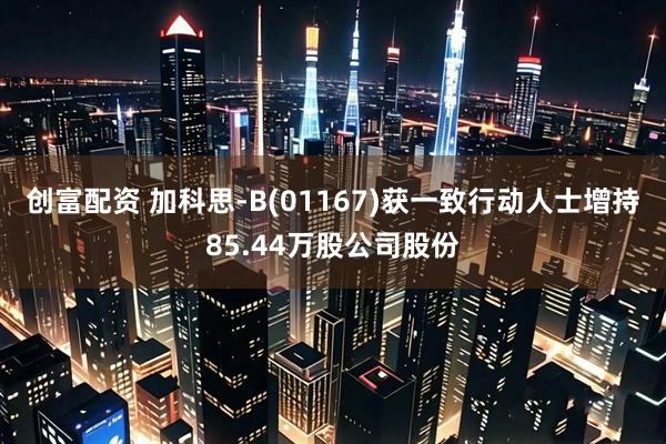 创富配资 加科思-B(01167)获一致行动人士增持85.44万股公司股份