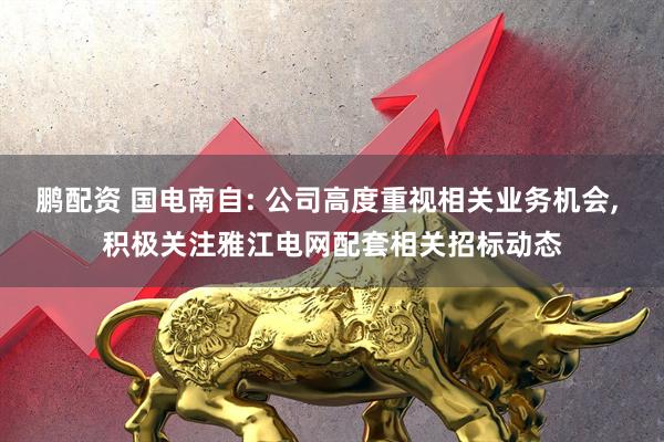 鹏配资 国电南自: 公司高度重视相关业务机会, 积极关注雅江电网配套相关招标动态