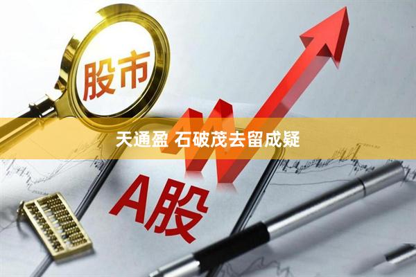 天通盈 石破茂去留成疑